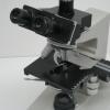 Particolare del Microscopio Ottico in Contrasto di Fase
